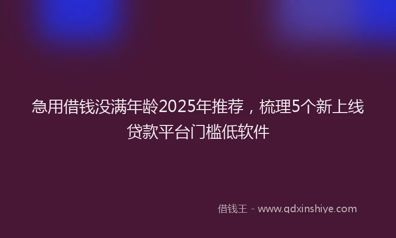 急用借钱没满年龄2025年推荐，梳理5个新上线贷款平台门槛低软件