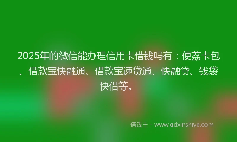 2025年的微信能办理信用卡借钱吗有：便荔卡包、借款宝快融通、借款宝速贷通、快融贷、钱袋快借等。