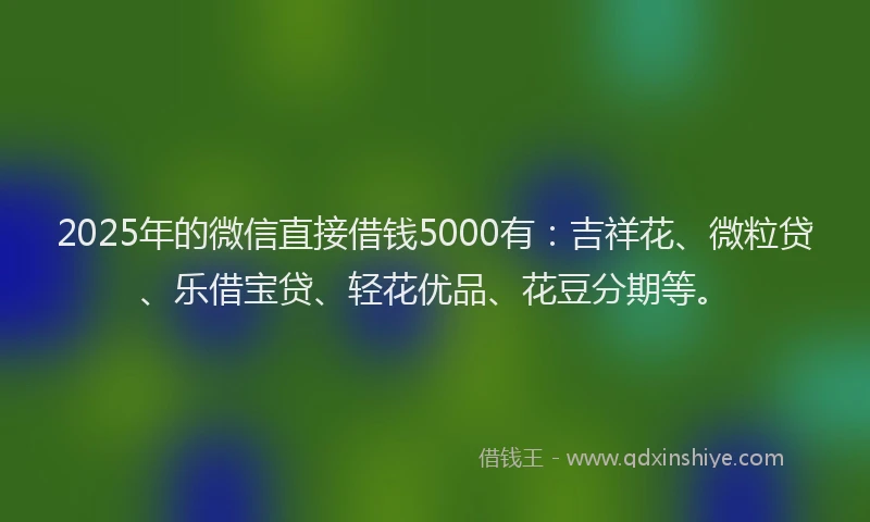 2025年的微信直接借钱5000有：吉祥花、微粒贷、乐借宝贷、轻花优品、花豆分期等。