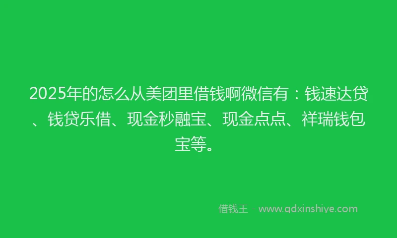 2025年的怎么从美团里借钱啊微信有：钱速达贷、钱贷乐借、现金秒融宝、现金点点、祥瑞钱包宝等。
