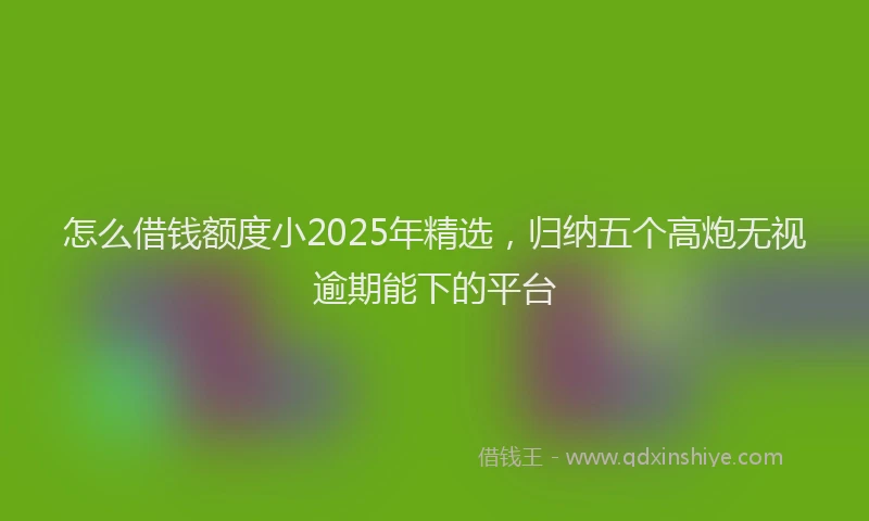 怎么借钱额度小2025年精选，归纳五个高炮无视逾期能下的平台