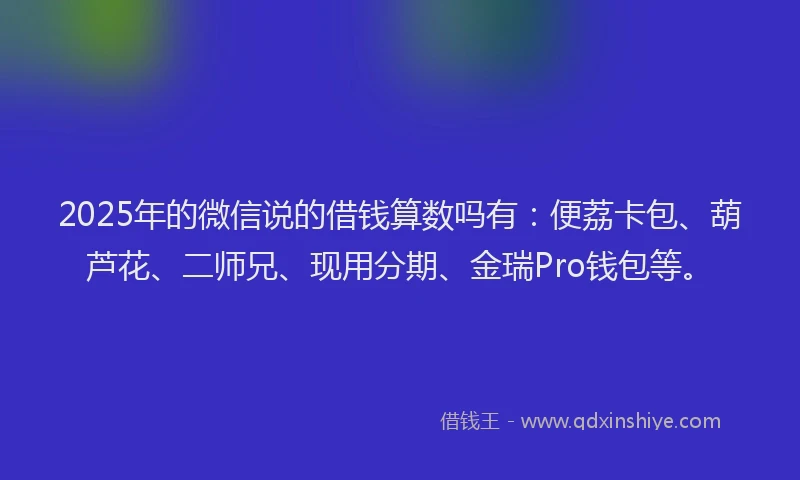 2025年的微信说的借钱算数吗有：便荔卡包、葫芦花、二师兄、现用分期、金瑞Pro钱包等。