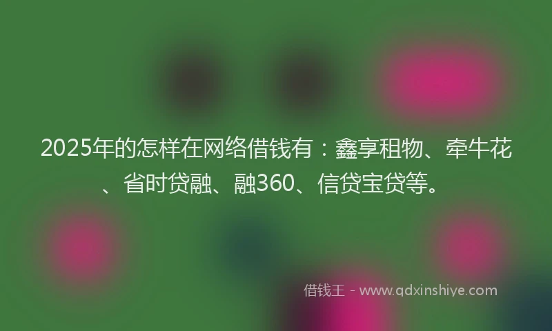 2025年的怎样在网络借钱有：鑫享租物、牵牛花、省时贷融、融360、信贷宝贷等。