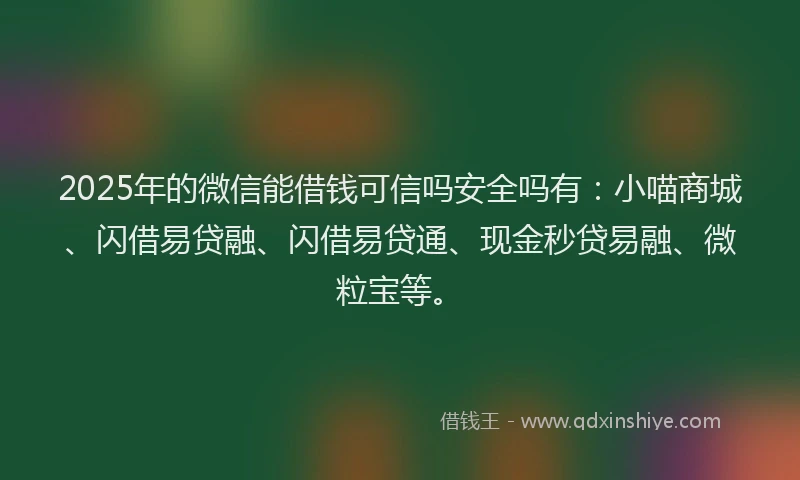 2025年的微信能借钱可信吗安全吗有：小喵商城、闪借易贷融、闪借易贷通、现金秒贷易融、微粒宝等。