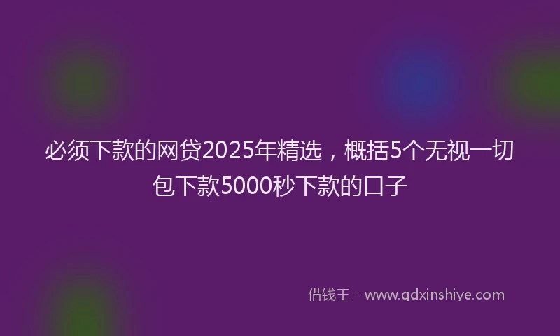必须下款的网贷2025年精选，概括5个无视一切包下款5000秒下款的口子