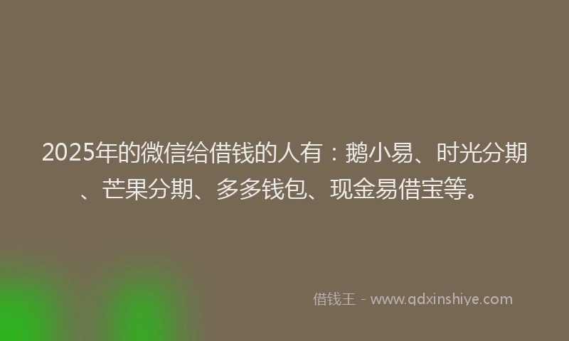 2025年的微信给借钱的人有：鹅小易、时光分期、芒果分期、多多钱包、现金易借宝等。