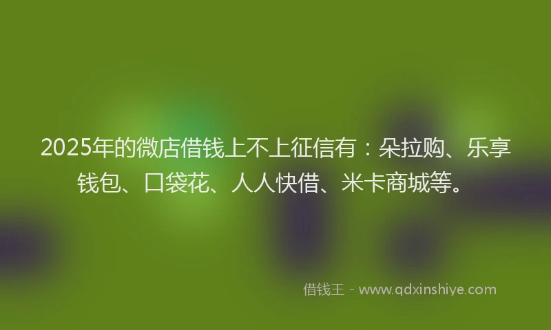 2025年的微店借钱上不上征信有：朵拉购、乐享钱包、口袋花、人人快借、米卡商城等。