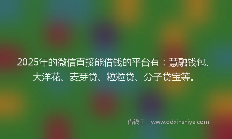 2025年的微信直接能借钱的平台有：慧融钱包、大洋花、麦芽贷、粒粒贷、分子贷宝等。