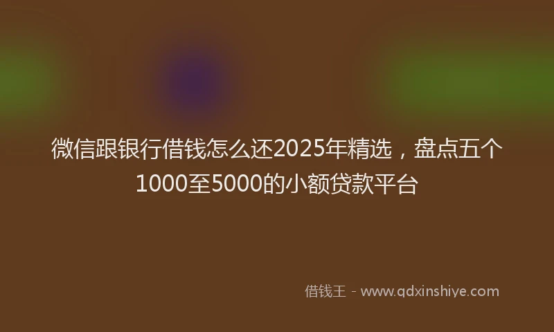 微信跟银行借钱怎么还2025年精选，盘点五个1000至5000的小额贷款平台