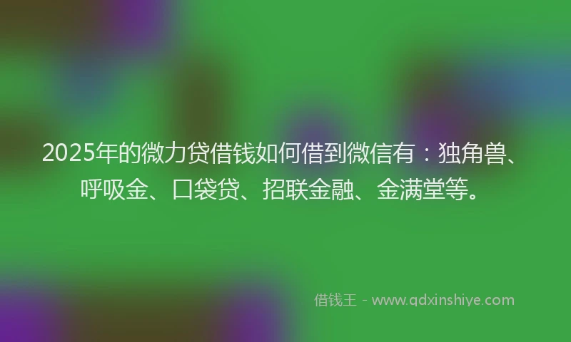 2025年的微力贷借钱如何借到微信有：独角兽、呼吸金、口袋贷、招联金融、金满堂等。