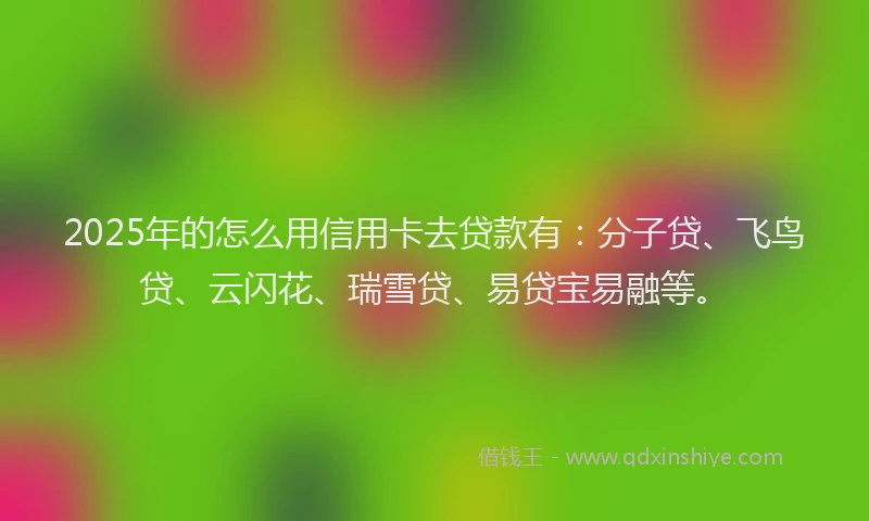 2025年的怎么用信用卡去贷款有：分子贷、飞鸟贷、云闪花、瑞雪贷、易贷宝易融等。