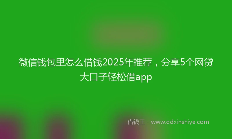 微信钱包里怎么借钱2025年推荐，分享5个网贷大口子轻松借app