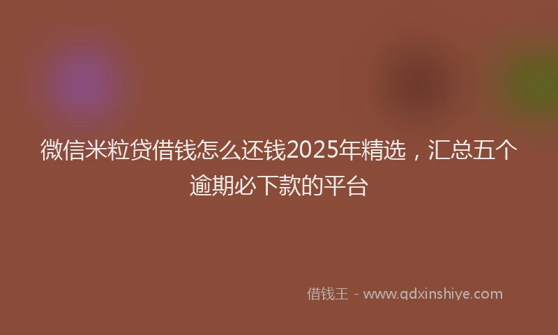 微信米粒贷借钱怎么还钱2025年精选，汇总五个逾期必下款的平台