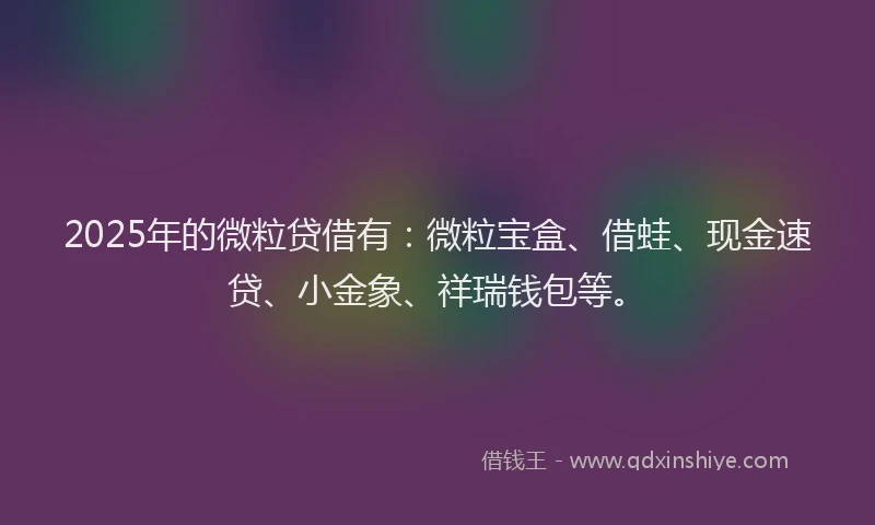 2025年的微粒贷借有：微粒宝盒、借蛙、现金速贷、小金象、祥瑞钱包等。