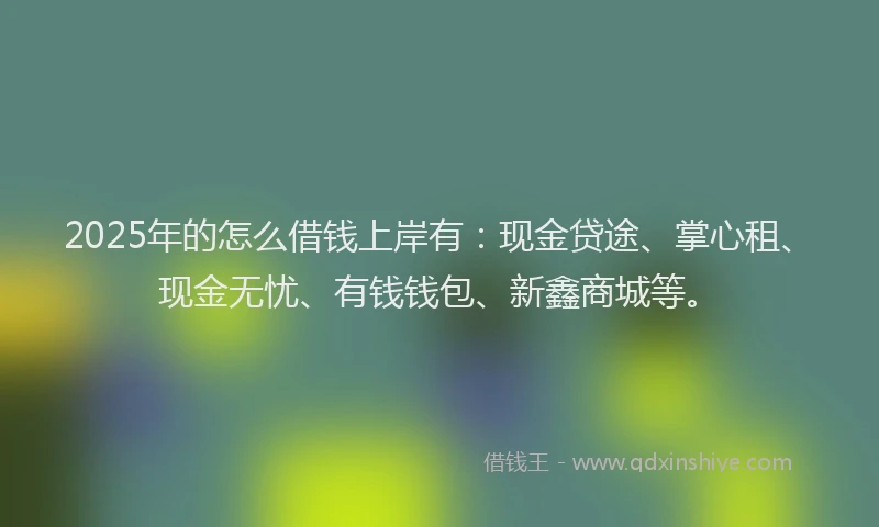 2025年的怎么借钱上岸有：现金贷途、掌心租、现金无忧、有钱钱包、新鑫商城等。