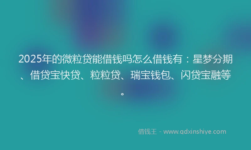 2025年的微粒贷能借钱吗怎么借钱有：星梦分期、借贷宝快贷、粒粒贷、瑞宝钱包、闪贷宝融等。