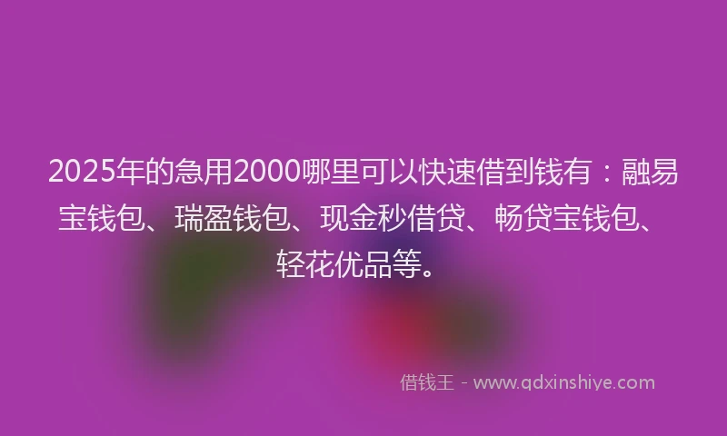 2025年的急用2000哪里可以快速借到钱有：融易宝钱包、瑞盈钱包、现金秒借贷、畅贷宝钱包、轻花优品等。