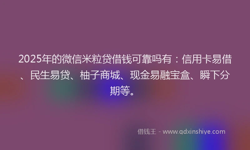 2025年的微信米粒贷借钱可靠吗有：信用卡易借、民生易贷、柚子商城、现金易融宝盒、瞬下分期等。