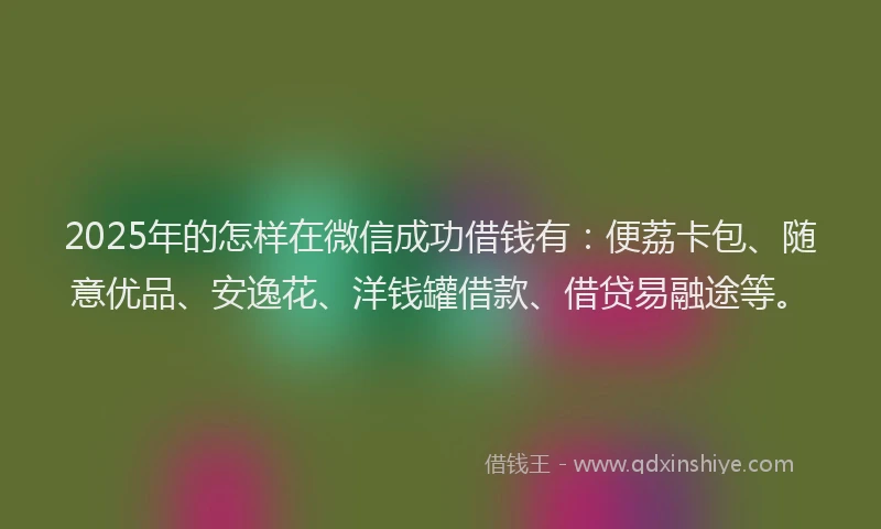2025年的怎样在微信成功借钱有：便荔卡包、随意优品、安逸花、洋钱罐借款、借贷易融途等。