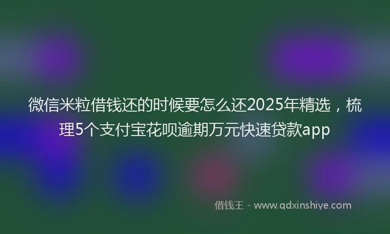 微信米粒借钱还的时候要怎么还2025年精选，梳理5个支付宝花呗逾期万元快速贷款app