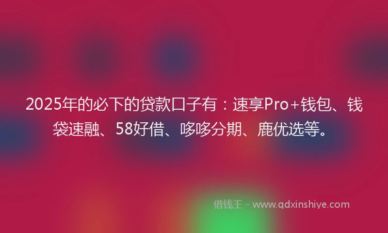 2025年的必下的贷款口子有：速享Pro+钱包、钱袋速融、58好借、哆哆分期、鹿优选等。