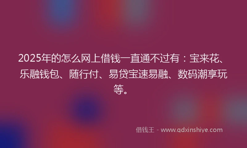 2025年的怎么网上借钱一直通不过有：宝来花、乐融钱包、随行付、易贷宝速易融、数码潮享玩等。