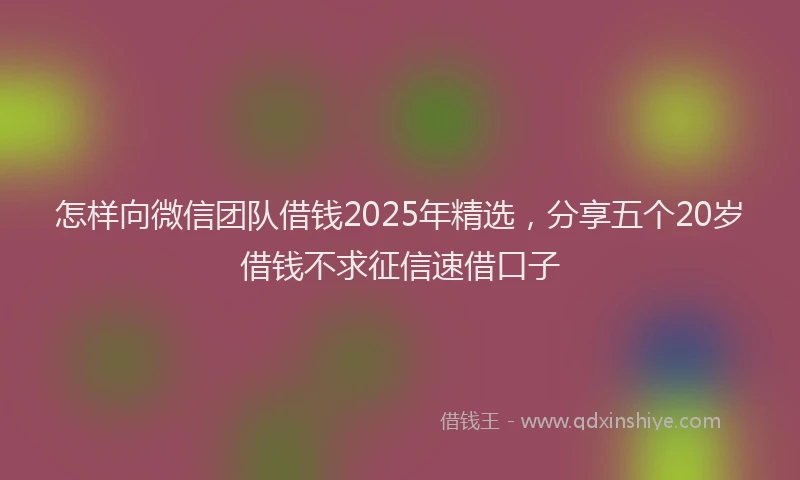 怎样向微信团队借钱2025年精选，分享五个20岁借钱不求征信速借口子