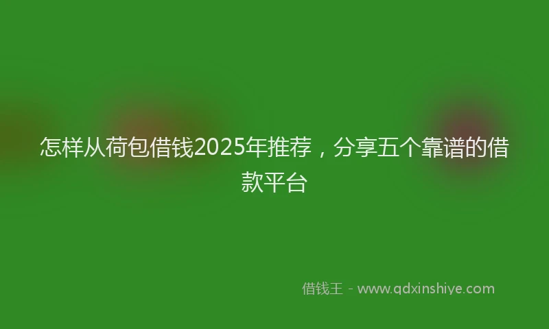 怎样从荷包借钱2025年推荐，分享五个靠谱的借款平台