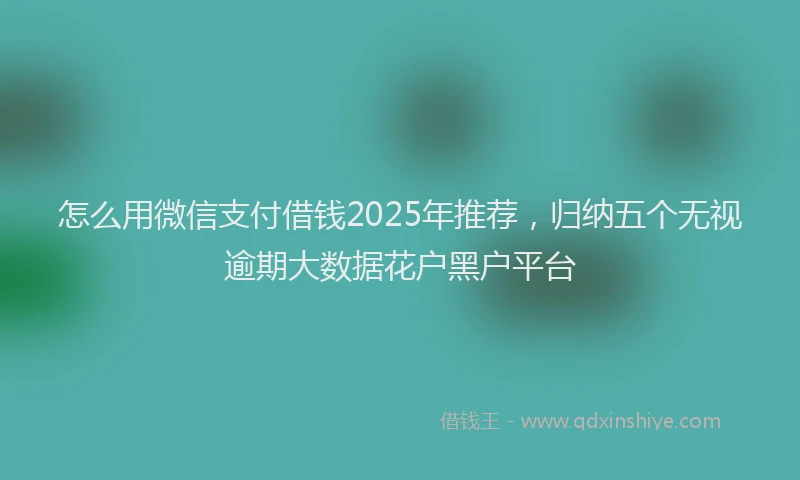 怎么用微信支付借钱2025年推荐，归纳五个无视逾期大数据花户黑户平台