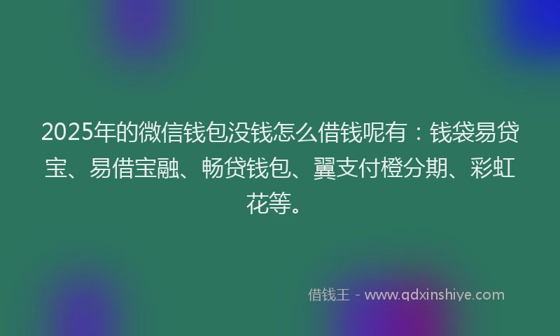 2025年的微信钱包没钱怎么借钱呢有：钱袋易贷宝、易借宝融、畅贷钱包、翼支付橙分期、彩虹花等。
