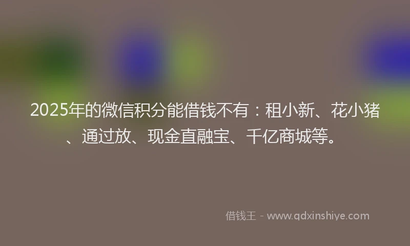 2025年的微信积分能借钱不有：租小新、花小猪、通过放、现金直融宝、千亿商城等。