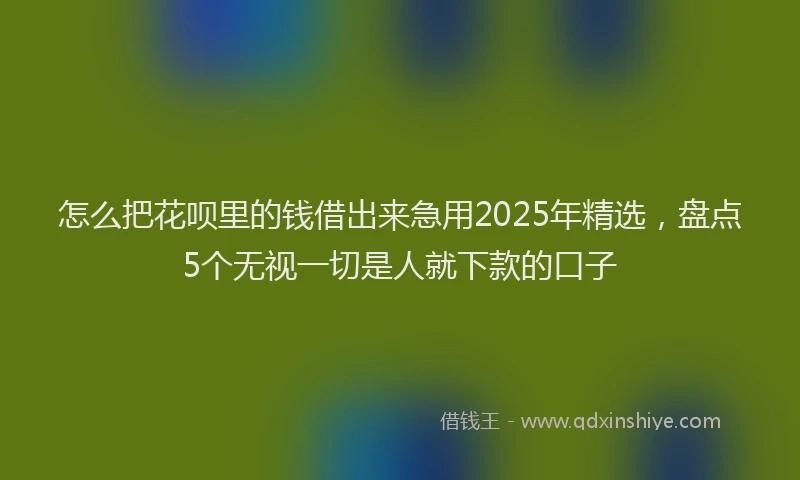 怎么把花呗里的钱借出来急用2025年精选，盘点5个无视一切是人就下款的口子