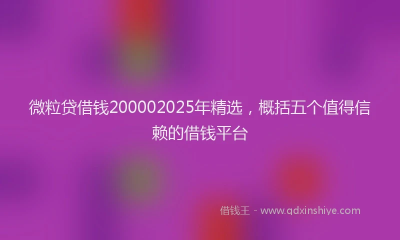 微粒贷借钱200002025年精选，概括五个值得信赖的借钱平台