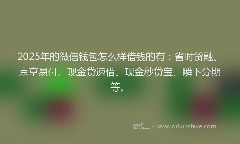 2025年的微信钱包怎么样借钱的有：省时贷融、京享易付、现金贷速借、现金秒贷宝、瞬下分期等。