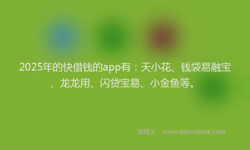 2025年的快借钱的app有：天小花、钱袋易融宝、龙龙用、闪贷宝易、小金鱼等。