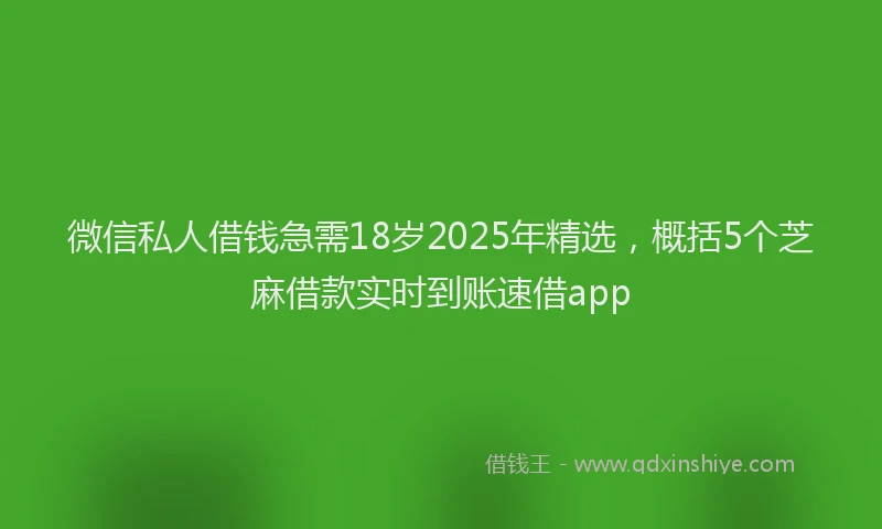 微信私人借钱急需18岁2025年精选，概括5个芝麻借款实时到账速借app