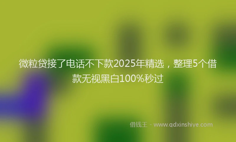 微粒贷接了电话不下款2025年精选，整理5个借款无视黑白100%秒过