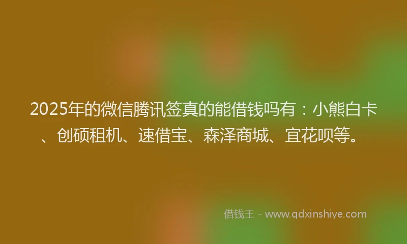 2025年的微信腾讯签真的能借钱吗有：小熊白卡、创硕租机、速借宝、森泽商城、宜花呗等。