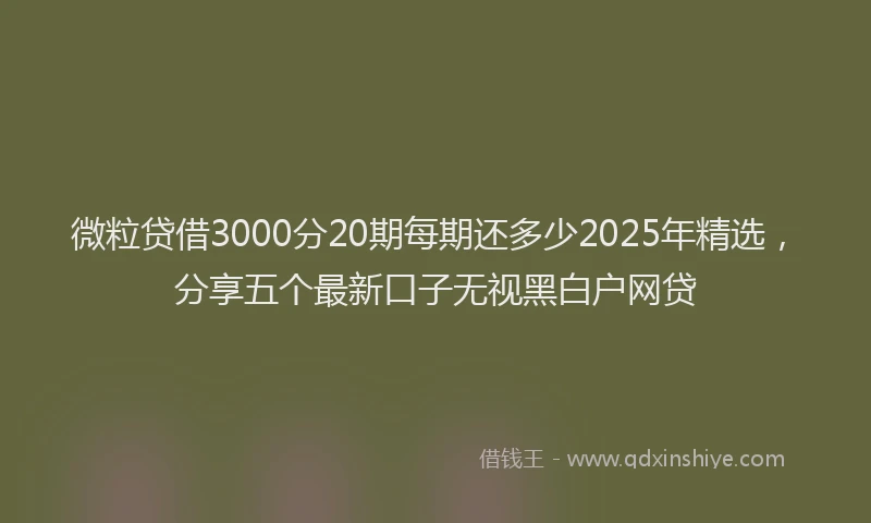 微粒贷借3000分20期每期还多少2025年精选，分享五个最新口子无视黑白户网贷