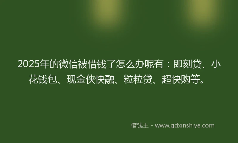 2025年的微信被借钱了怎么办呢有：即刻贷、小花钱包、现金侠快融、粒粒贷、超快购等。