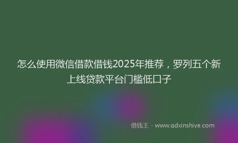 怎么使用微信借款借钱2025年推荐，罗列五个新上线贷款平台门槛低口子