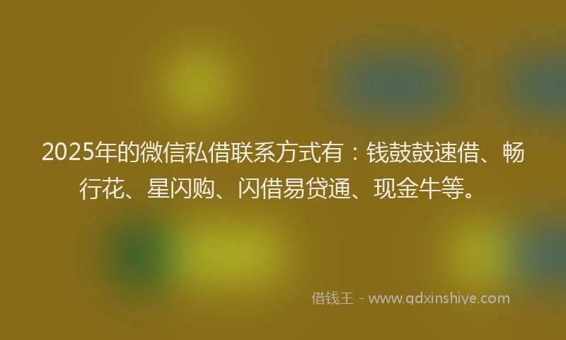 2025年的微信私借联系方式有：钱鼓鼓速借、畅行花、星闪购、闪借易贷通、现金牛等。
