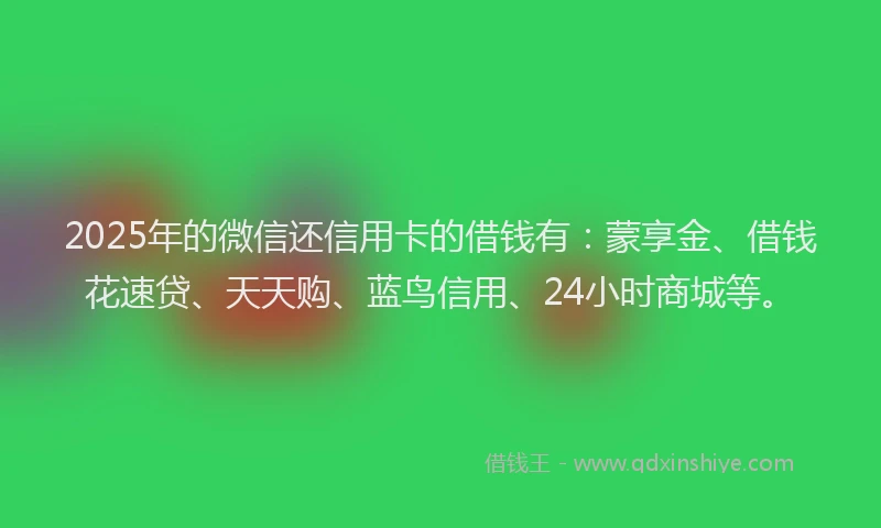 2025年的微信还信用卡的借钱有：蒙享金、借钱花速贷、天天购、蓝鸟信用、24小时商城等。
