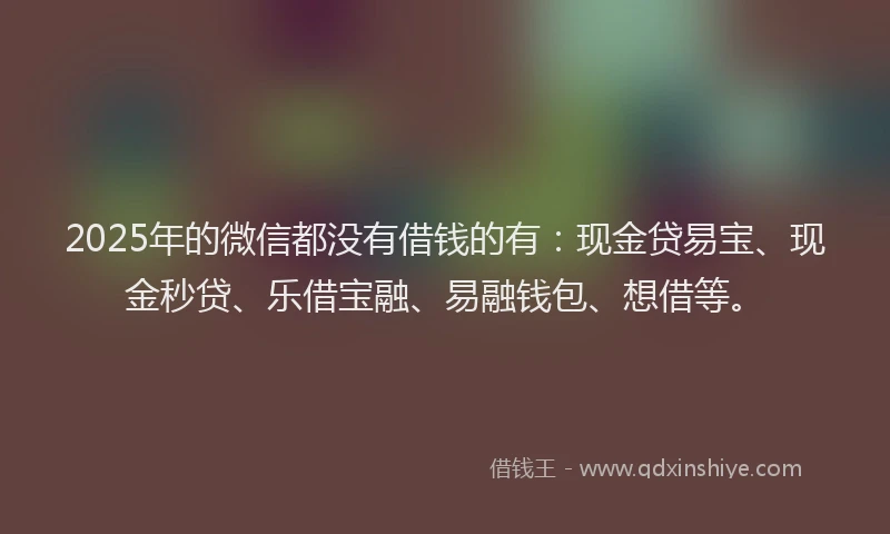 2025年的微信都没有借钱的有：现金贷易宝、现金秒贷、乐借宝融、易融钱包、想借等。