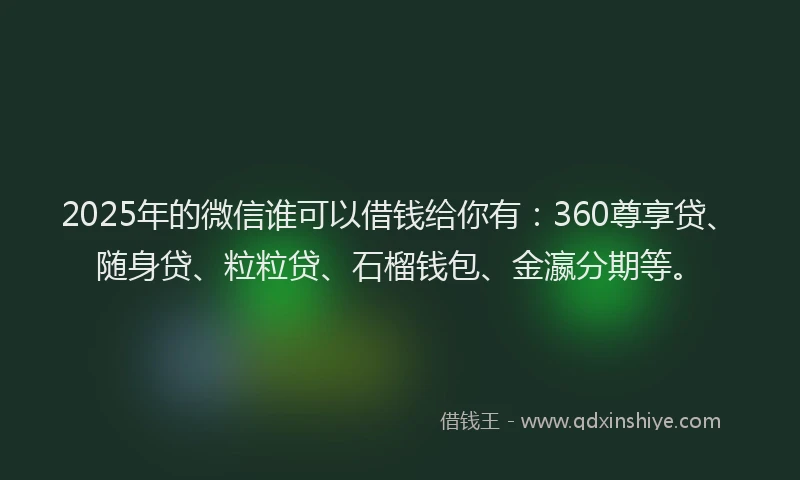 2025年的微信谁可以借钱给你有：360尊享贷、随身贷、粒粒贷、石榴钱包、金瀛分期等。