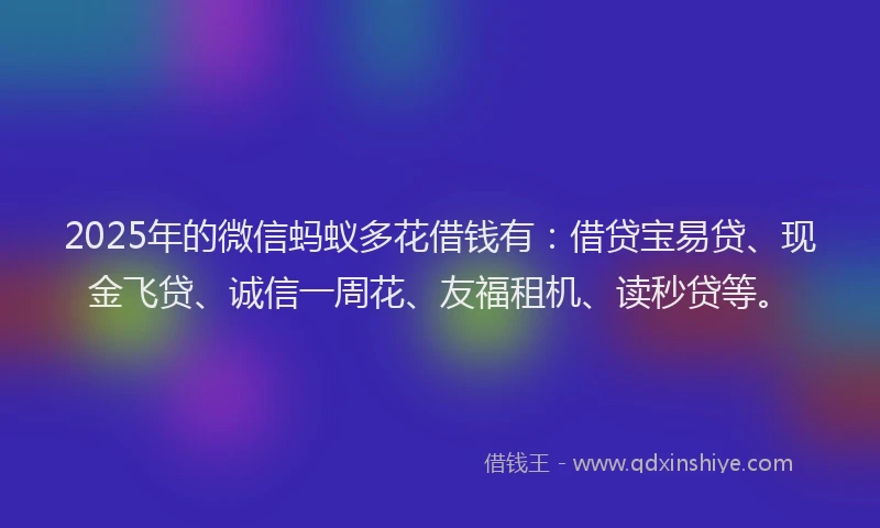 2025年的微信蚂蚁多花借钱有：借贷宝易贷、现金飞贷、诚信一周花、友福租机、读秒贷等。