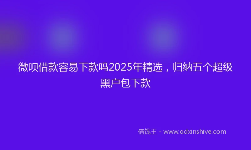 微呗借款容易下款吗2025年精选，归纳五个超级黑户包下款