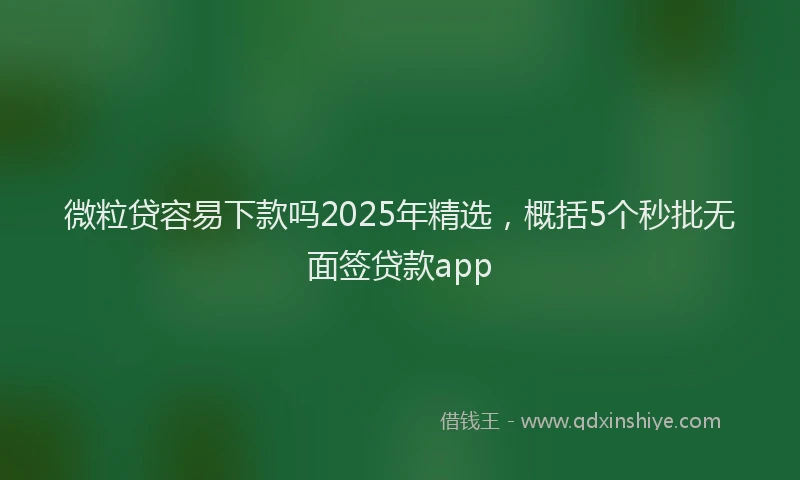 微粒贷容易下款吗2025年精选，概括5个秒批无面签贷款app