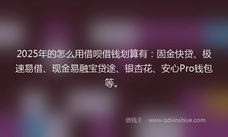 2025年的怎么用借呗借钱划算有：固金快贷、极速易借、现金易融宝贷途、银杏花、安心Pro钱包等。
