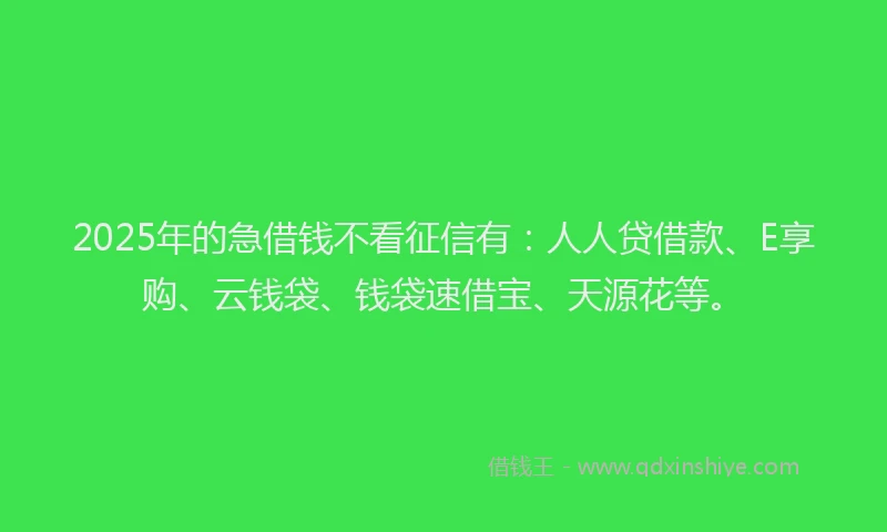 2025年的急借钱不看征信有：人人贷借款、E享购、云钱袋、钱袋速借宝、天源花等。